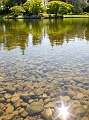 Lethbridge107