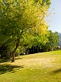 BanffConference007