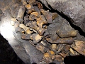 Caving023