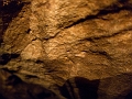 Caving033