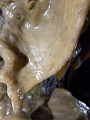 Caving053