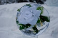 IceMagic041