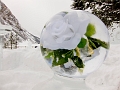 IceMagic044