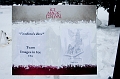 IceMagic060