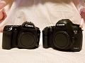 5DMkIII004