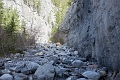 Canmore017