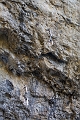 Canmore018