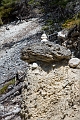 Canmore030