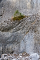 Canmore043