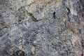 Canmore072