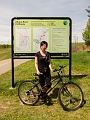 BikingDowntown001