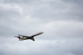 PlaneSpotting007