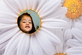 ChowFamily029