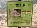EdmontonZoo001
