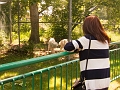 EdmontonZoo003