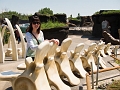 EdmontonZoo011