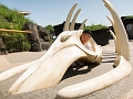 EdmontonZoo017