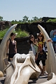 EdmontonZoo020