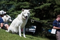 EdmontonZoo037
