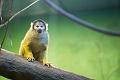 EdmontonZoo050