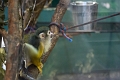 EdmontonZoo052