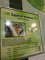 EdmontonZoo053
