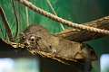 EdmontonZoo054