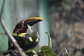 EdmontonZoo055