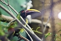 EdmontonZoo056