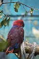 EdmontonZoo057