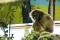 EdmontonZoo059