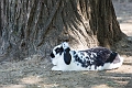 EdmontonZoo073