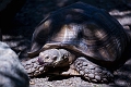 EdmontonZoo079