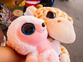 Stampede023_ap