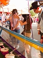 Stampede025_ap