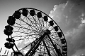 Stampede074