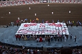 Stampede082