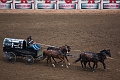 Stampede083
