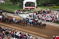 Stampede088