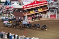 Stampede089