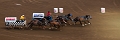 Stampede090