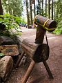 EnchantedForest008