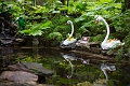 EnchantedForest010
