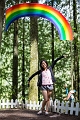 EnchantedForest013