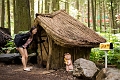EnchantedForest014