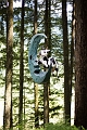 EnchantedForest018