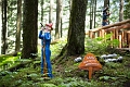 EnchantedForest022