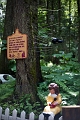 EnchantedForest023