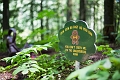 EnchantedForest026