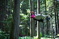 EnchantedForest028
